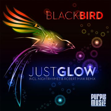 Black Bird-cover