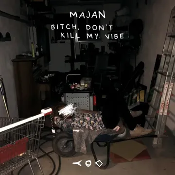 Bitch, Don't Kill My Vibe-cover