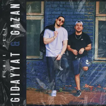 Chto mne stoit tebja zabyt' (Dvniar Remix)-cover