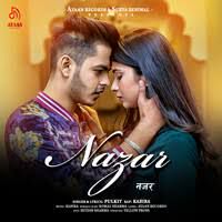 pulkit-nazar-cover-image