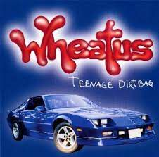 Teenage Dirtbag-cover