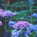 the words i shouldve said-cover