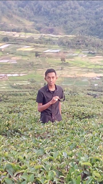 Dj Goresan Cinta