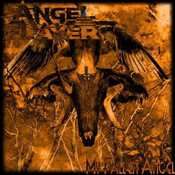 My Fallen Angel