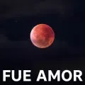 Fue Amor-cover