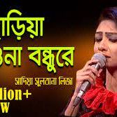 প্রানো নাথ ছাড়িয়া যাইওনা বন্দুরে-cover