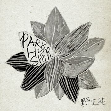 야생화-cover
