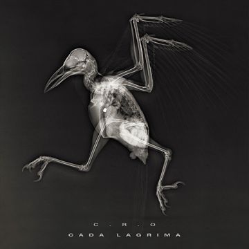 Cada lagrima-cover