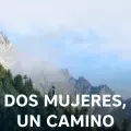 coveImg