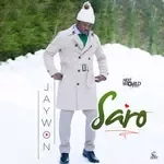 Saro-cover
