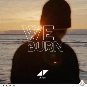 We Burn（Faster Than Light）SanJin Remake（翻自 Avicii）-cover