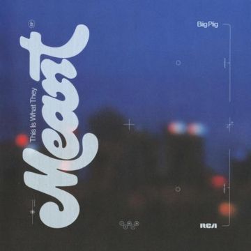 This Is What They Meant-cover