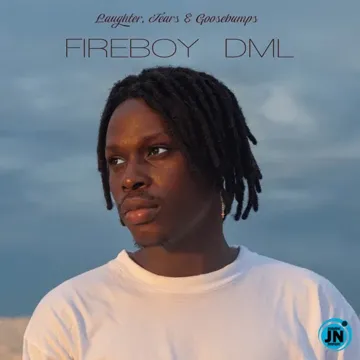 Like I Do-cover