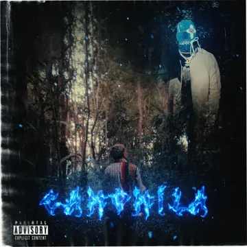Camomila-cover