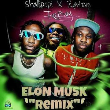 Elon Musk (Remix)-cover