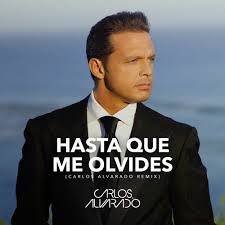 Hasta que me olvides-cover