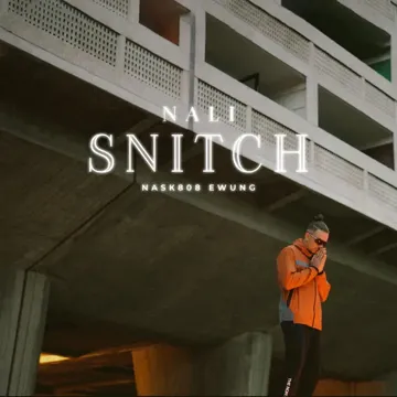 Snitch-cover