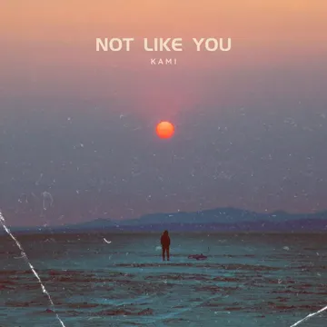Not Like You-cover