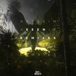Seen(Paul Flint Remix)-cover