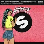 Whenever (feat. Conor Maynard) (Extended Mix)-cover