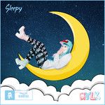 Sleepy-cover