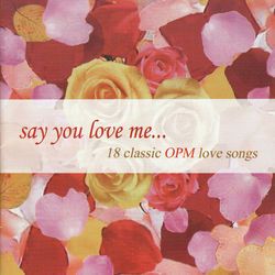 Say That You Love Me-cover