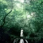 Paradise-cover