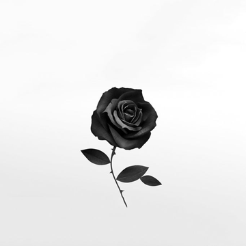 Beautiful-cover