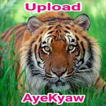 ​ေျမမႈန္႔ထဲမွ-cover