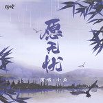 愿无忧-cover