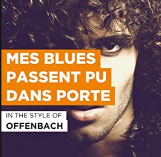 Mes Blues Passe Pu Dans Porte-cover