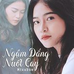 Ngậm Đắng Nuốt Cay-cover