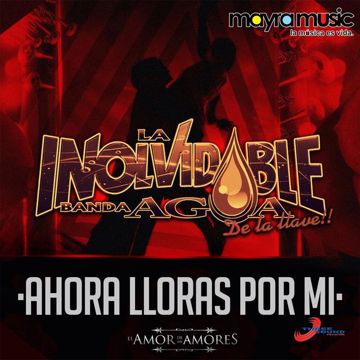Amor de mis amores-cover