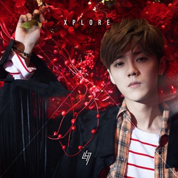 Let Me Stay By Your Side (Pinyin)-cover