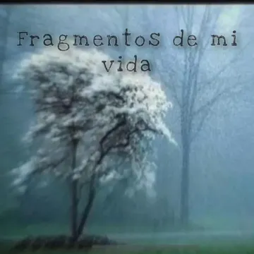 Fragmentos de mi vida-cover