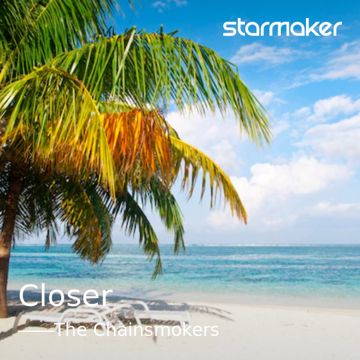 Closer-cover
