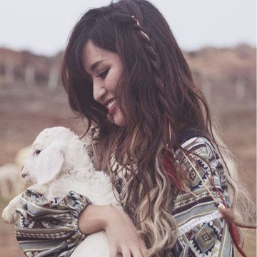 Nụ Hồng Mong Manh-cover