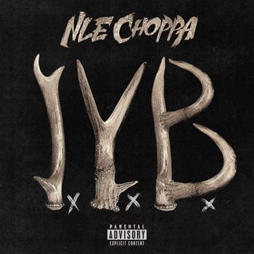 I.Y.B.-cover