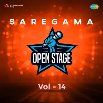 Meri Bheegi Bheegi Si-cover
