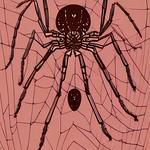 TATUAGEM DA ARANHA - SEM ALIANÇA NO DEDO-cover
