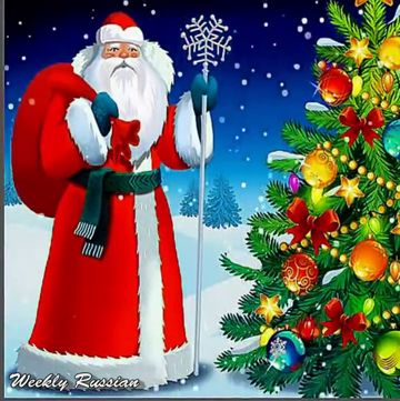 Ёлочка ёлка, лесной аромат