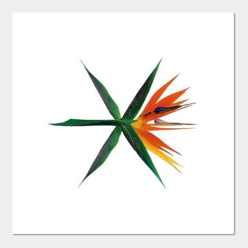 KoKoBop