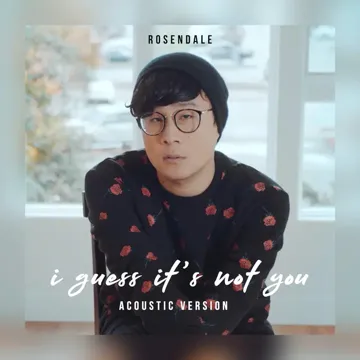 I Guess It's Not You (Acoustic)-cover