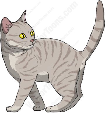 coveImg