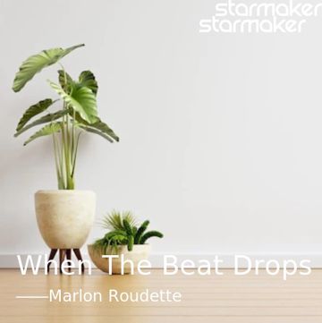 When The Beat Drops Out-cover