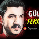 özlemin dili olsaydı-cover