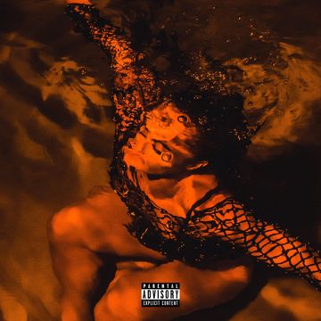 NOAH'$ ARK-cover