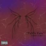 P*$$Y Fairy(OTW)(V-Mix Explicit)-cover