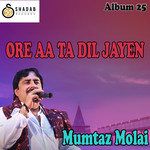 Nazar Ma Jeko B Kariyo-cover