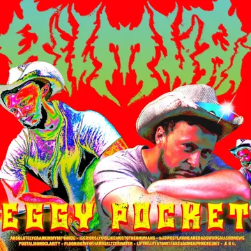 FLUORIDEINTHEHARDSELTZERWATER-cover